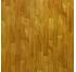 Лінолеум Forbo Emerald Wood FR 8302